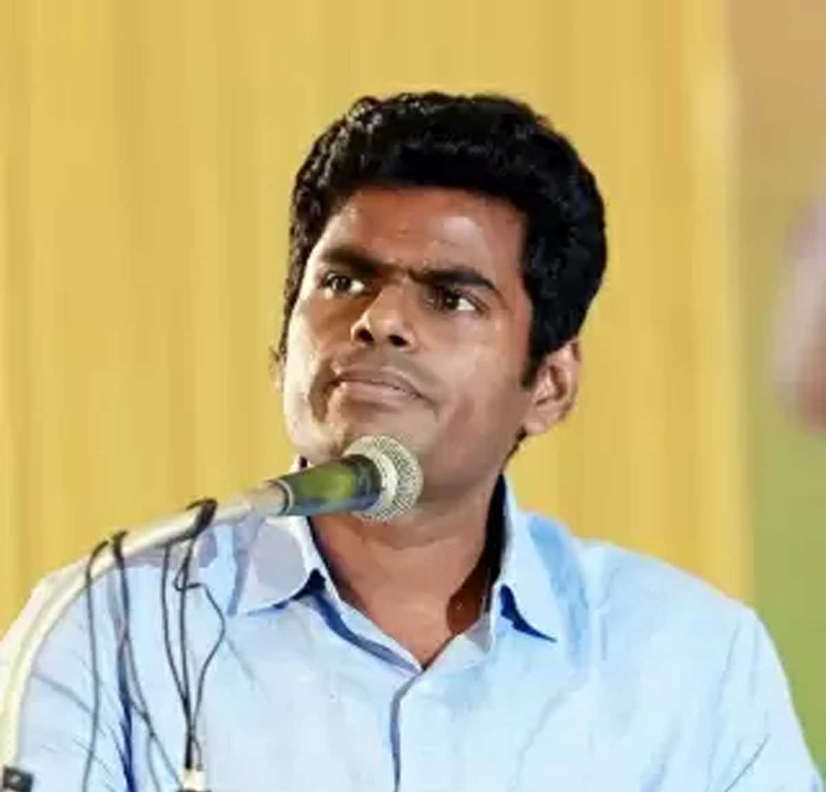 बीजेपी के अन्नामलाई ने मद्रास हाईकोर्ट को बताया, 31 अक्टूबर को बंद का आह्वान नहीं किया